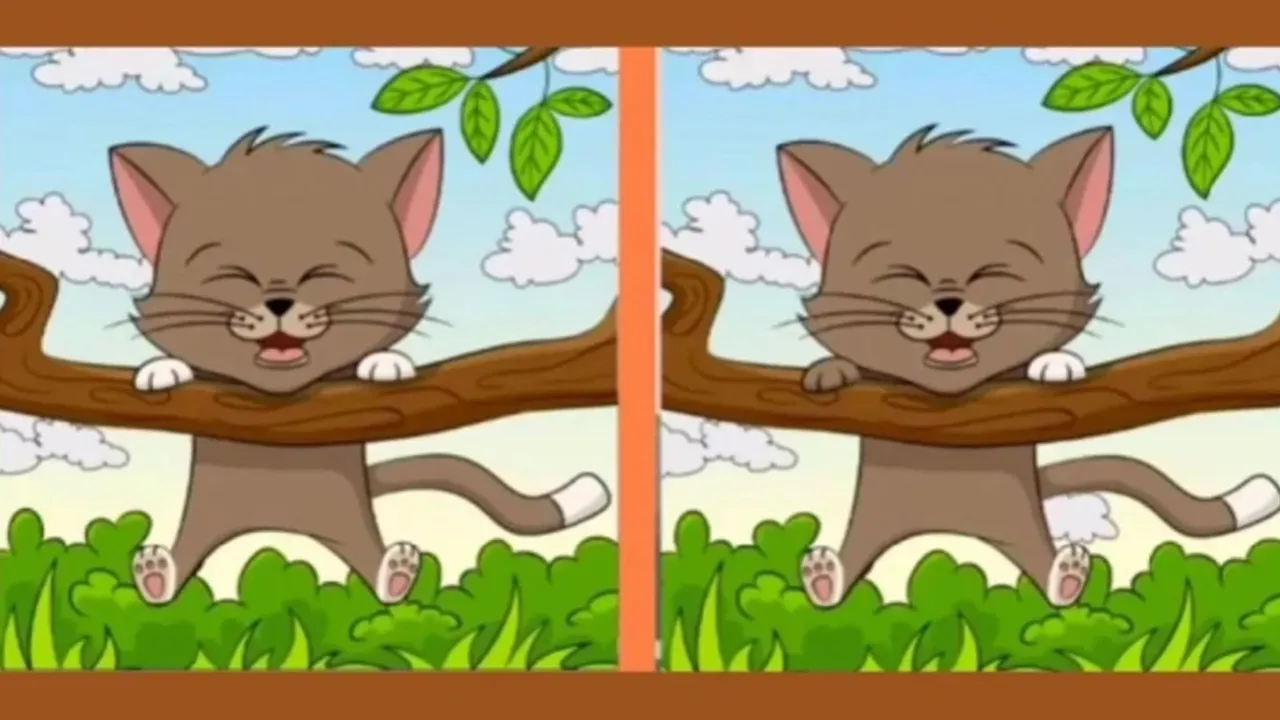 Only those with high IQ can see the 3 differences between two cats in 8 seconds!