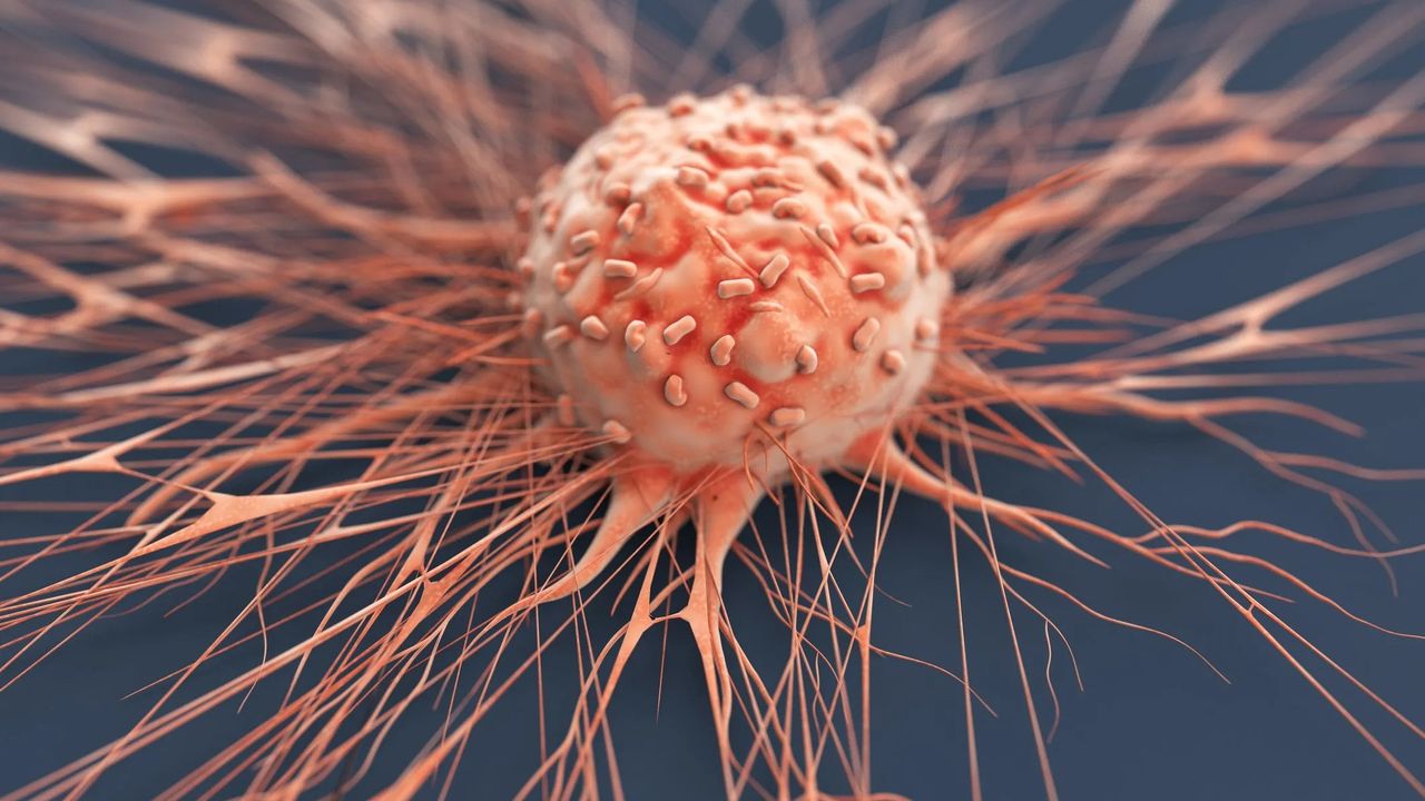 Historic breakthrough in cancer treatment