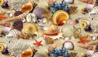 Have you ever wondered how awe-inspiring seashells are formed?