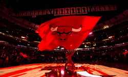Breaking news! Are the Chicago Bulls for sale?!