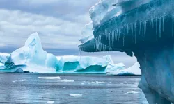 Scientists warn: Humanity is facing a code red climate emergency!