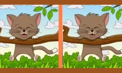 Only those with high IQ can see the 3 differences between two cats in 8 seconds!