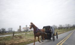 Amish horse-drawn carriage crashed: Two children lost their lives!