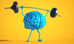 How to increase brain power: Foods that boost memory!