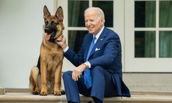 Biden's dog fired from the White House