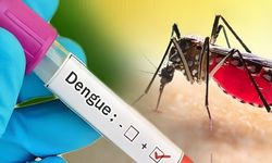 2 cases of dengue fever in the US!