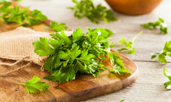 With this method, the parsley in the fridge will no longer turn yellow!