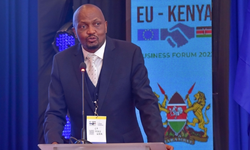 Kenya to sell 35 state-owned companies
