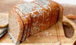 Shock method that prevents bread from getting moldy!