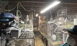 You can feel the smell when you look at the photo! US police arrest woman after 309 animals found in her home