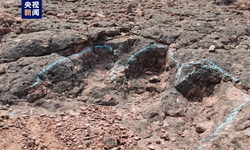 Dinosaur footprint fossil discovered in China