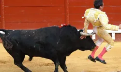 Revolutionary decision: National Bullfighting Award abolished!