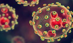 Lassa virus: Blood coming from the eyes and ears!