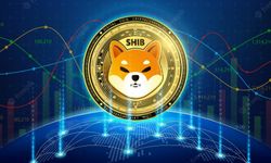 After 3 Years of Patience, Shiba Inu Investor Sold at 419x Profit!