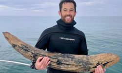 Fossil hunter finds a huge tooth in the ocean depths