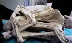 'Alien mummy' in Peru raises eyebrows