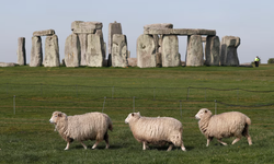 Stonehenge's Scottish Sibling: Ancient Altar Stone Decides to Embrace Its True Roots