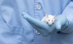 The mouse experiment is complete, now it's time for humans...