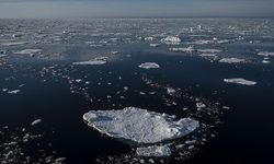 New antibiotics discovered in the Arctic Ocean