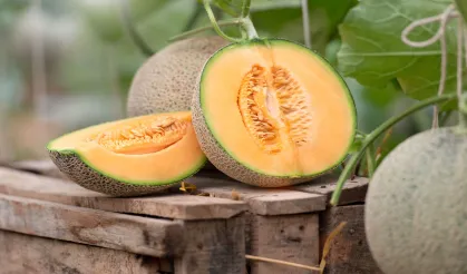 Tainted melon killed 8 people!