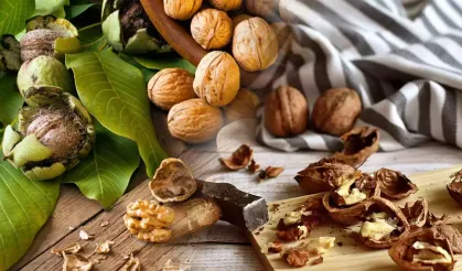 Have you ever thought of consuming walnut shells in this way!