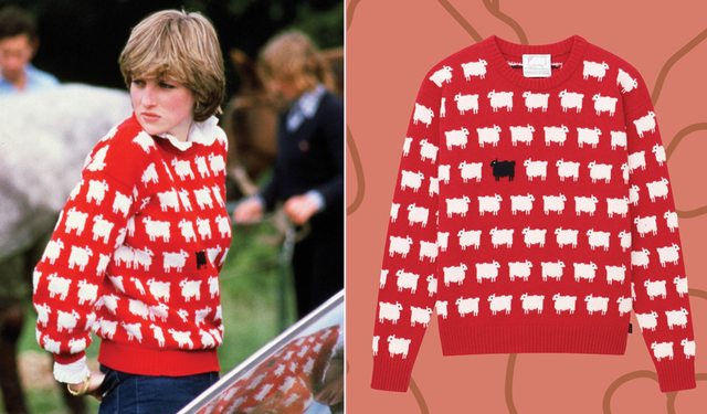 Princess Diana's iconic sweater sold for a record price!