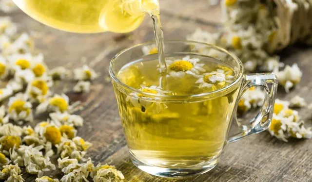 Chamomile tea both weakens and relieves all stress! Here are the miraculous benefits...