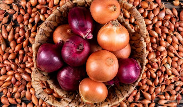 Hidden danger in onions revealed: Beware when chopping onions!