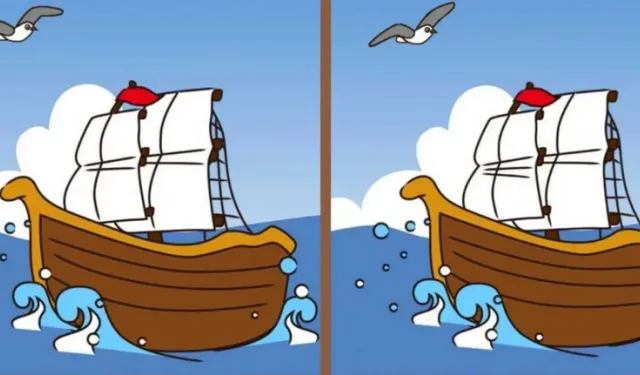 Only those with high IQ can see the 3 differences between two ships floating at sea!