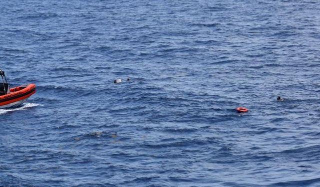 Whale crashed into boat: 1 dead, 1 injured