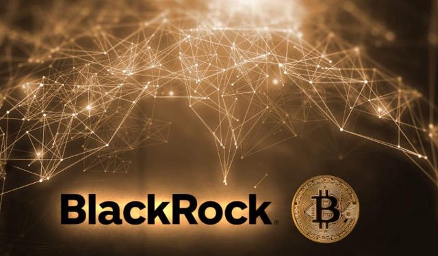 Bitcoin value soars 150% as BlackRock boosts investment interest