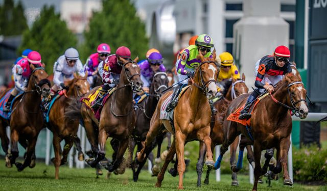 Kentucky Derby Post Draw, Odds and 2024's Top Winners!