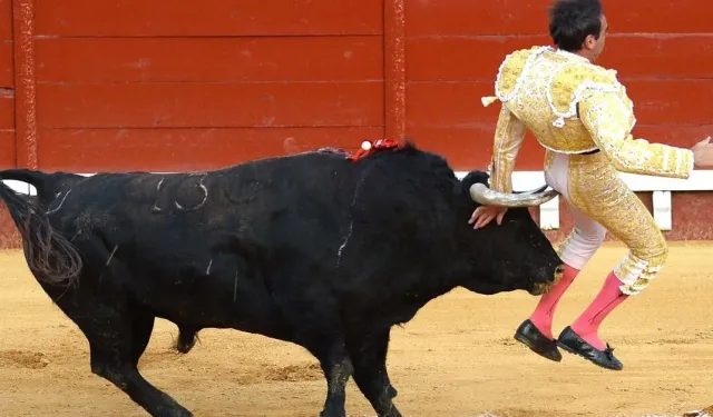 Revolutionary decision: National Bullfighting Award abolished!