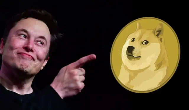 Bomb move from Elon Musk: Dogecoin is now valid at Tesla!