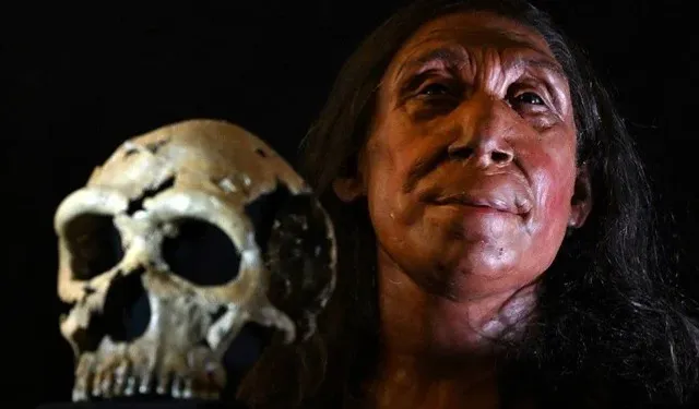 75,000 years ago a rock fell on his head, his face was reconstructed!