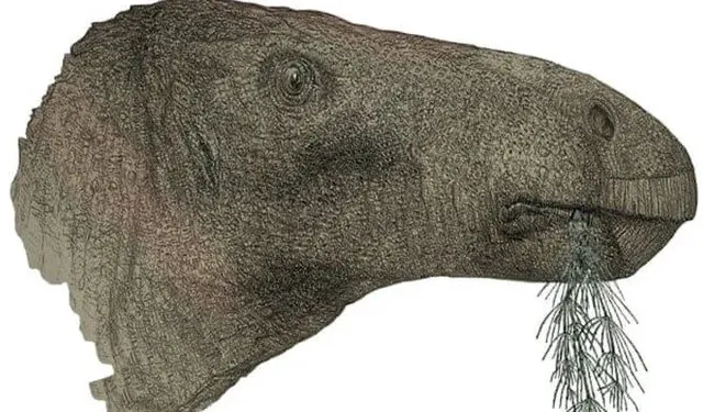 125 million year old herbivorous dinosaur discovered!