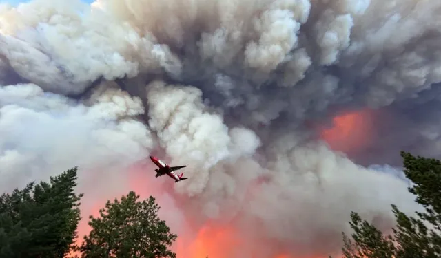 The biggest forest fire of the year: More than 145,000 acres burned!