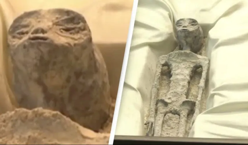 The world is shocked! 'Alien corpses' - look what they really are!
