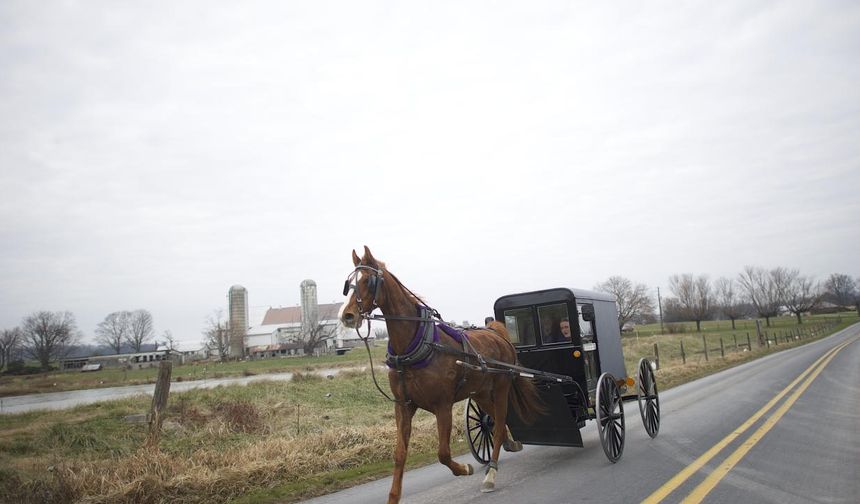 Amish horse-drawn carriage crashed: Two children lost their lives!