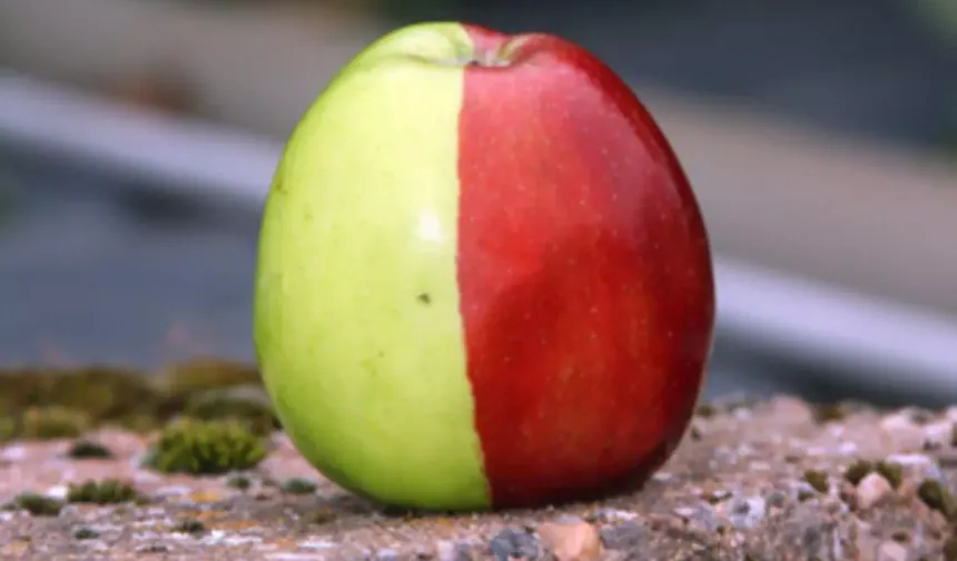 Are Red Apples or Green Apples Healthier? Here are the surprising results...