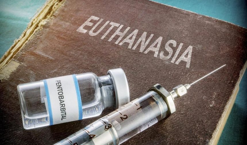 Euthanasia practiced for the first time in Peru!