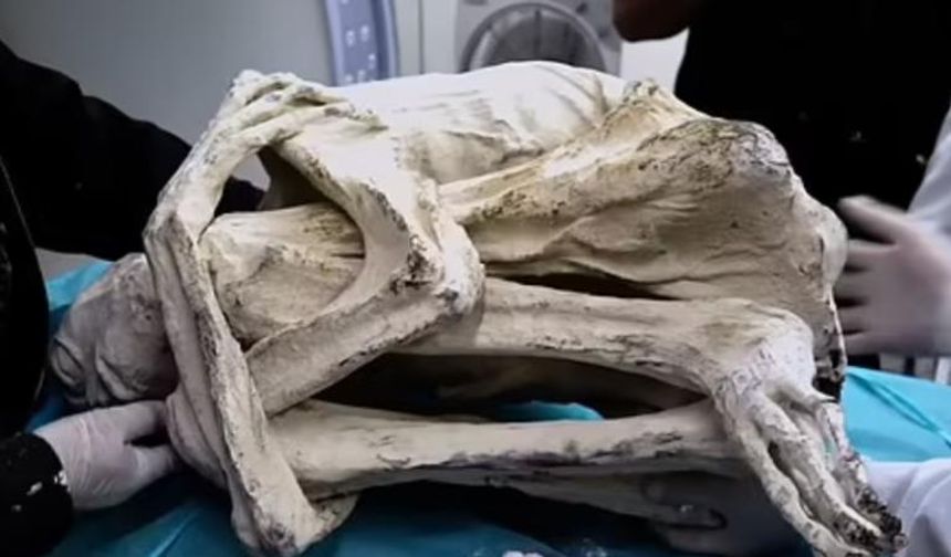 'Alien mummy' in Peru raises eyebrows