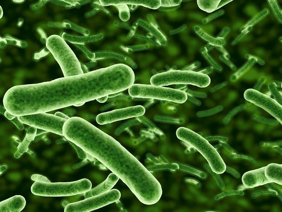 NASA has discovered mutant bacteria growing in space!