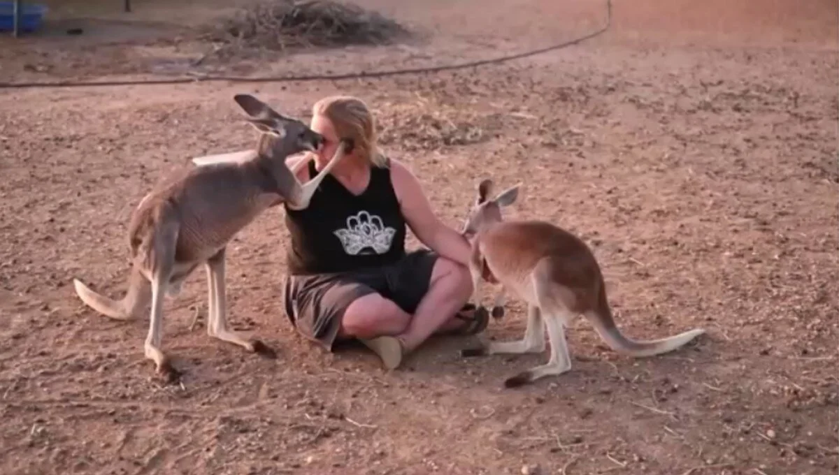 She keeps dozens of kangaroos in her house! - Jurnal Time