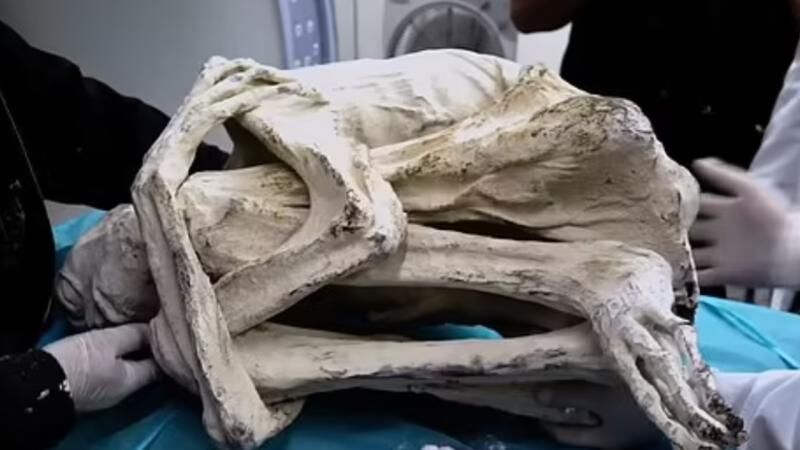 'Alien mummy' in Peru raises eyebrows - Jurnal Time